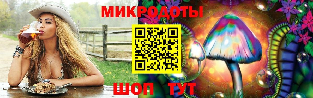 Нерюнгри  Галлюциногенные грибы прущие грибы  Вход с VPN 